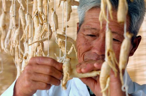 (Chung Sung-Jun/Getty Images)