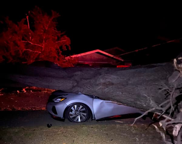 Southern California Fire Shuts Highway, Forces Evacuations | California ...